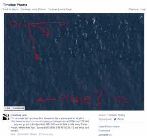 Courtney Love found the missing flight MH370